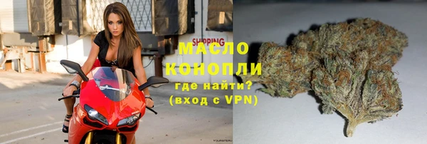 гидра Богородицк