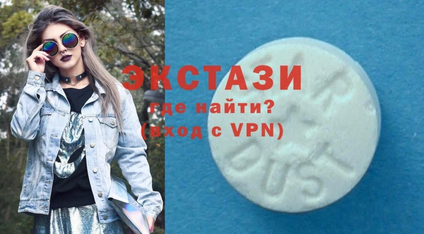 гидра Богородицк