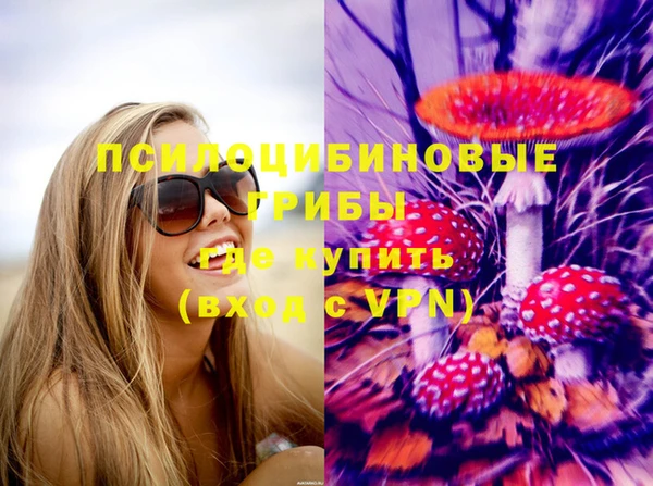 ПСИЛОЦИБИНОВЫЕ ГРИБЫ Шали