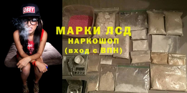 ГАЛЛЮЦИНОГЕННЫЕ ГРИБЫ Белоозёрский