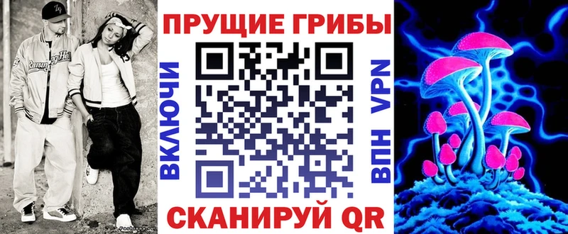 как найти закладки  Вязьма  mega вход  Псилоцибиновые грибы мицелий 